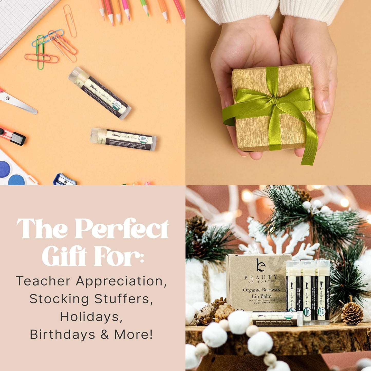 USDA Organic Lip Balm - USA Made with Natural Ingredients, Beeswax Vanilla Chapstick for Dry Lips, Gifts for Women, Birthday Gifts for Her & Him, Hydrating Lip Balm Beauty Gifts, Natural Chapstick