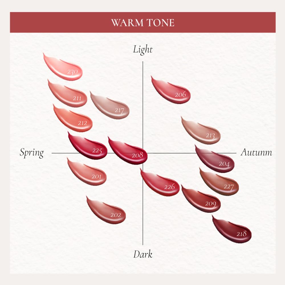 DINTO Blur-Glowy Lip Tint 218 Memento Mori