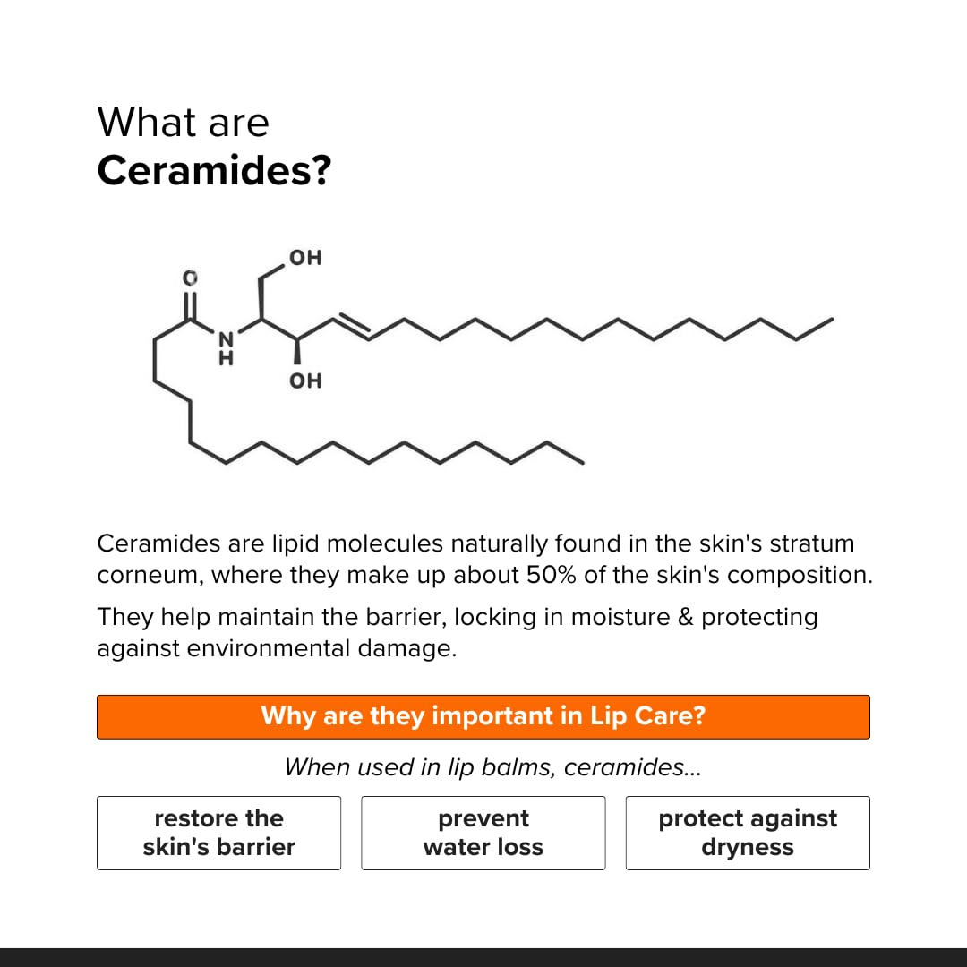 Minimalist Ceramide Lip Balm | With Hyaluronic Acid to Hydrate & Repair Chapped Lips | Provides Protection from the Sun | 0.28 Oz / 8 gm