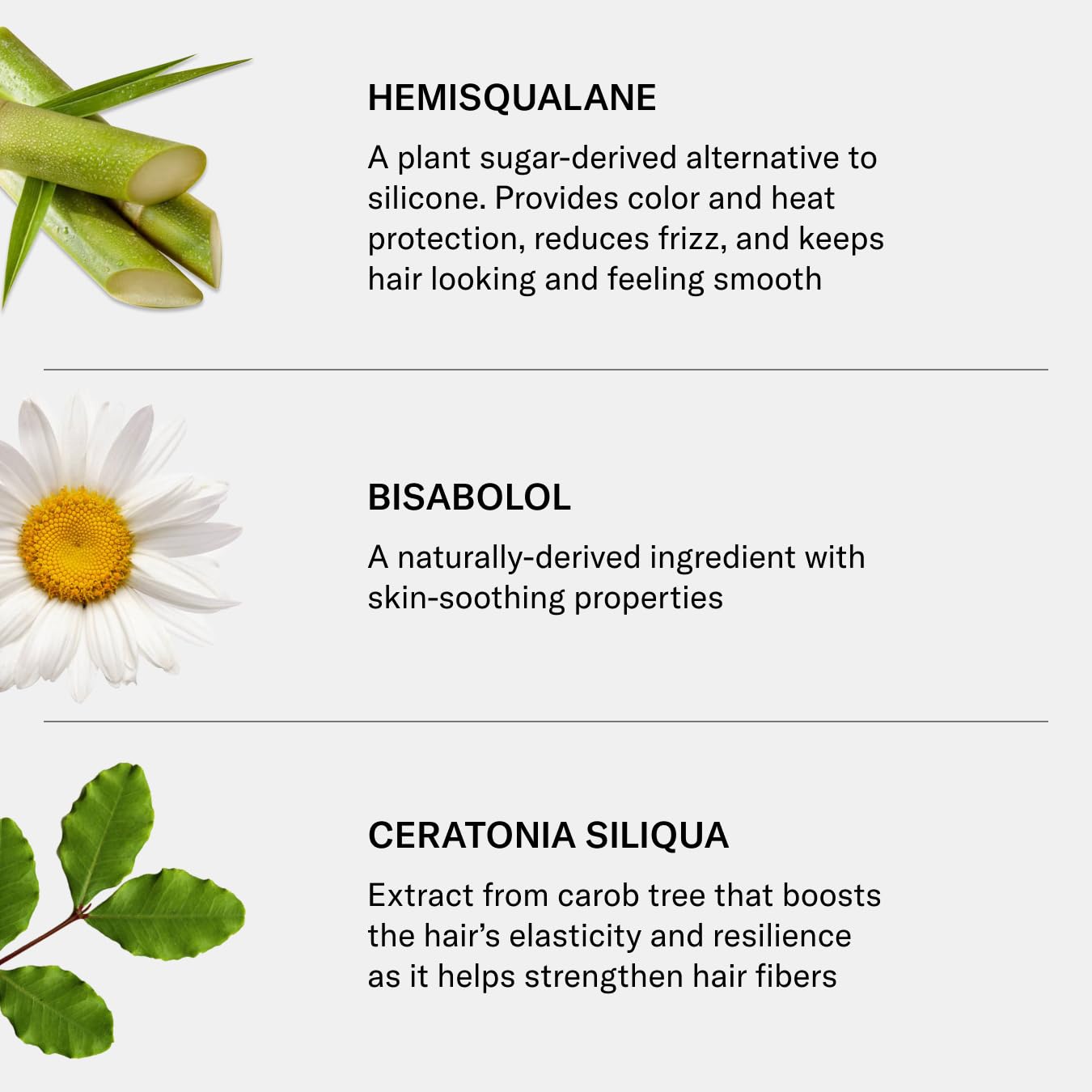 SEEN Leave-In Conditioner - Leave-In Hair Conditioner & Heat Protectant Spray- Detangles & Hydrates- No Parabens, Sulfates or Phthalate (Scented)