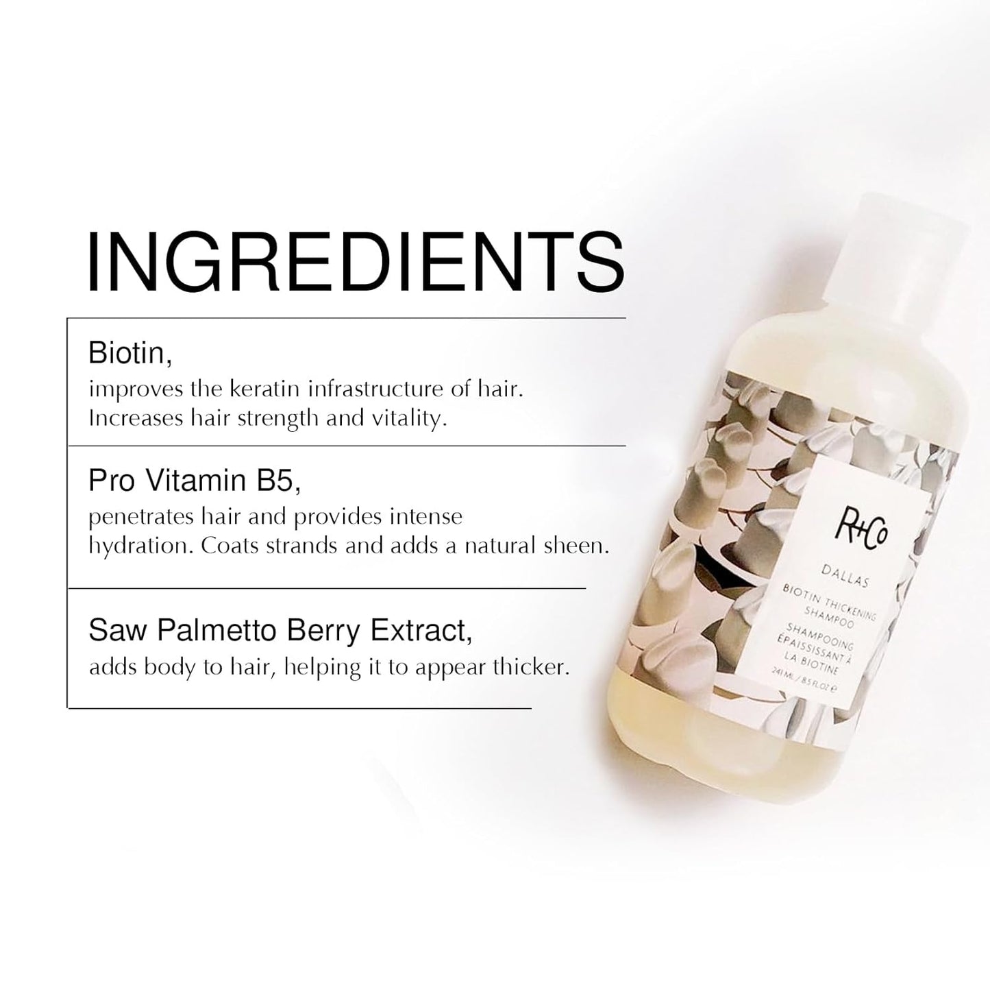 R+Co Dallas Biotin Hair Thickening Shampoo and Conditioner Set (8.5 Oz) + Deluxe Sample (.5 Oz) | For Hair Growth | Sulfate-Free | Vegan + Cruelty-Free |