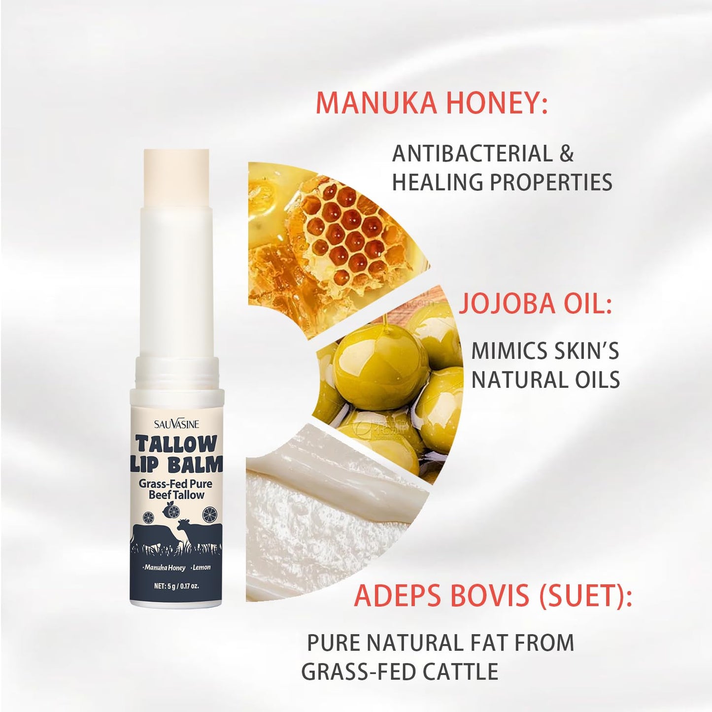 Tallow Lip Balm With Grass-Fed Beef Tallow & Manuka Honey Long-Lasting Moisturizing Lip For Cracked and Dull Lip, Natural Balm 5g/0.17oz