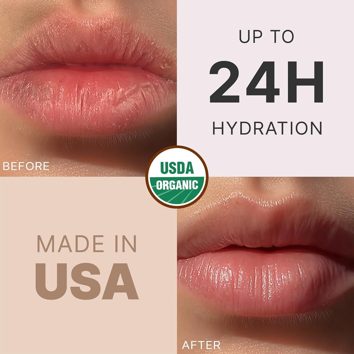 USDA Organic Lip Balm - USA Made with Natural Ingredients, 12 Pack Multi Flavor Lips Moisturizer, Moisturizing Lip Care, Beauty & Birthday Gifts, Moisturizer Chapstick Bulk Care for Dry Lips