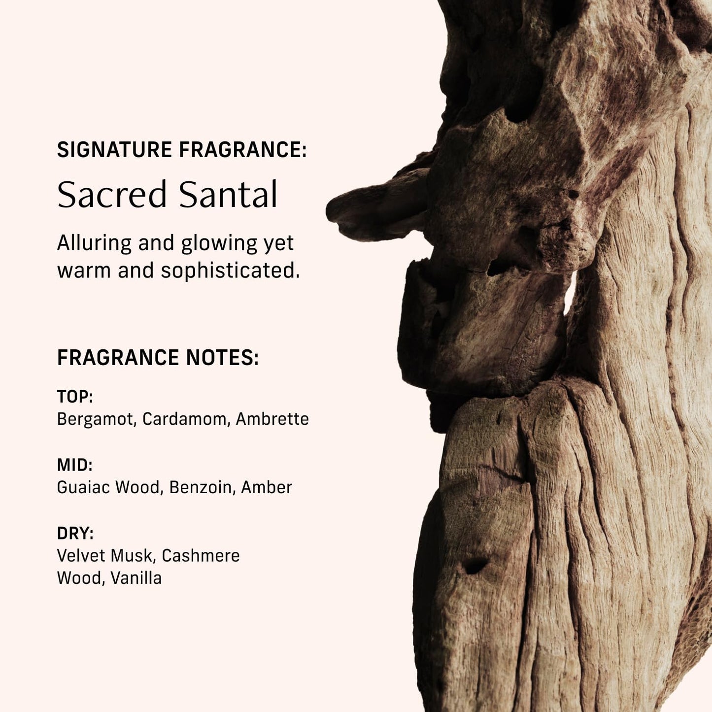 Perfume Oil Roll-on. Travel-Friendly Sacred Santal Fragrance with Bergamot, Amber, and Musk Notes. Long-Lasting Essential Oil Parfum for Women and Men. 0.5 Fl Oz Scented Rollerball Bottle