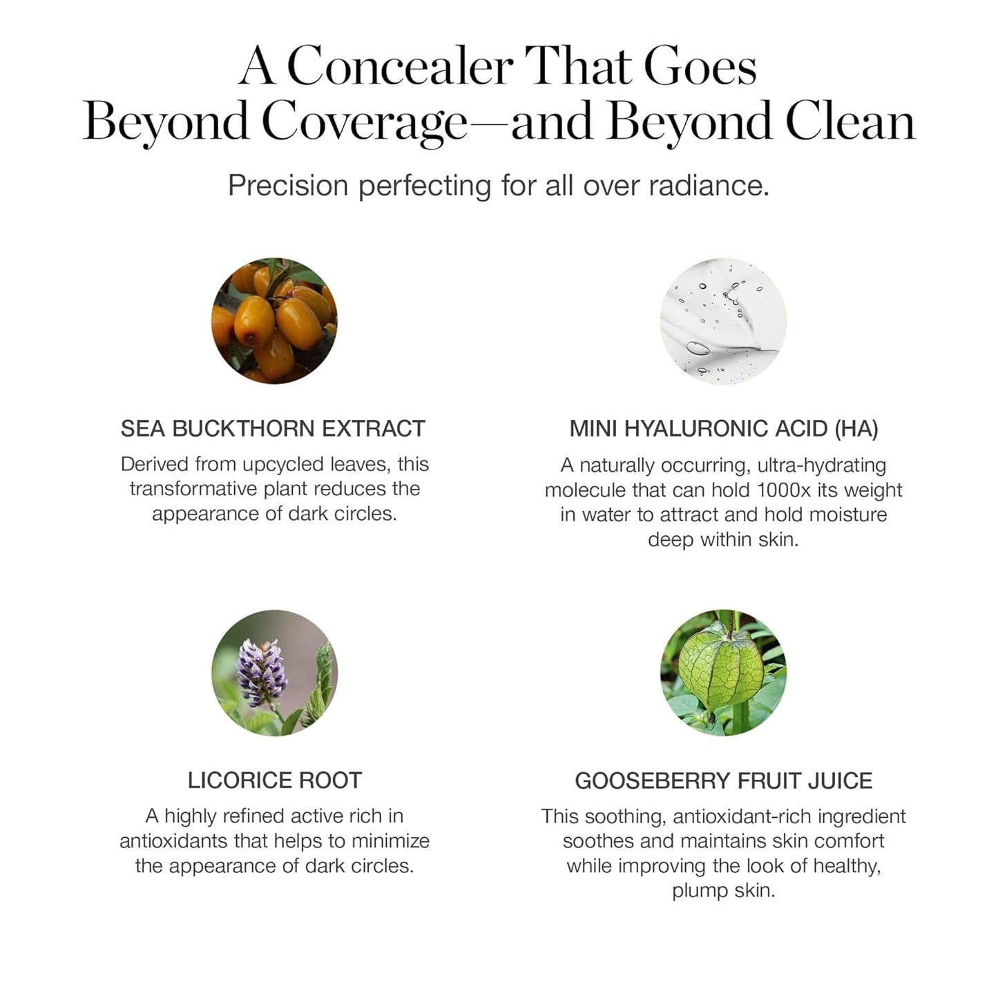 Ogee Complexion Perfecting Under Eye Concealer - Certified Organic Full Coverage Concealer - Buildable Coverage - JUNIPER 3.25W - Medium Light Tan (Olive Undertones)