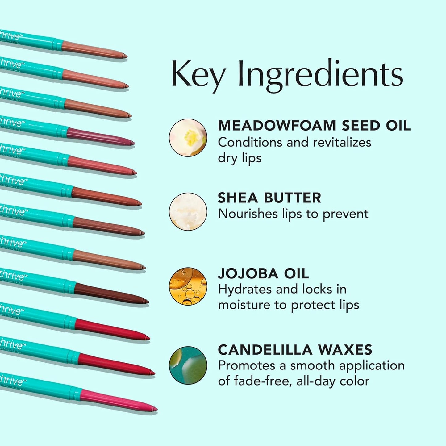 Thrive Causemetics Lip Filler Long-Wearing + Plumping Lip Liner, Shea Butter Hydrating Lip Plumper Retractable Lip Liner Pencil, Built In Sharpener, Vegan & Cruelty Free, Katrece (Espresso)