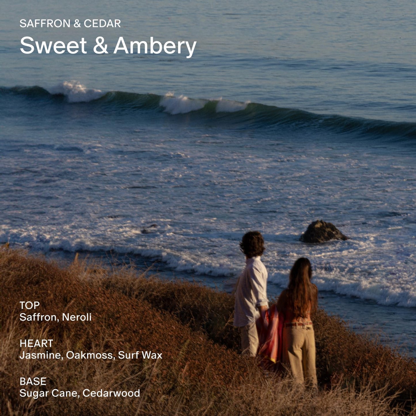 Salt & Stone Body Wash with Antioxidants for Deep Moisture | For Women & Men, Sulfate, Paraben, & Dye Free, Leaving Skin Soft and Hydrated | Saffron & Cedar 32 fl oz