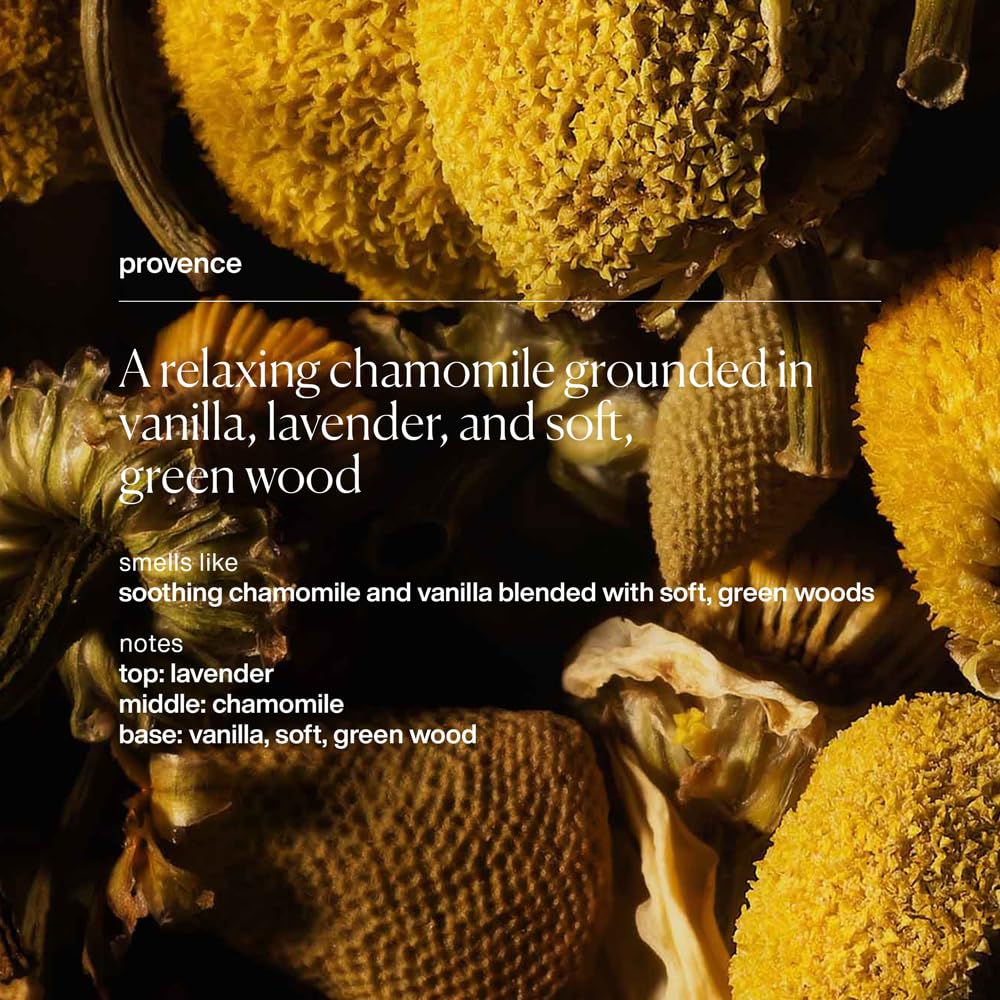 evolvetogether Lip Balm for Women & Men | Plant-Powered Hydration with Calming Lavender | Multi-Use Stick for Lips, Cuticles, Cheeks | Cruelty-Free, Paraben-Free | Made in USA (Provence, 1 Oz)