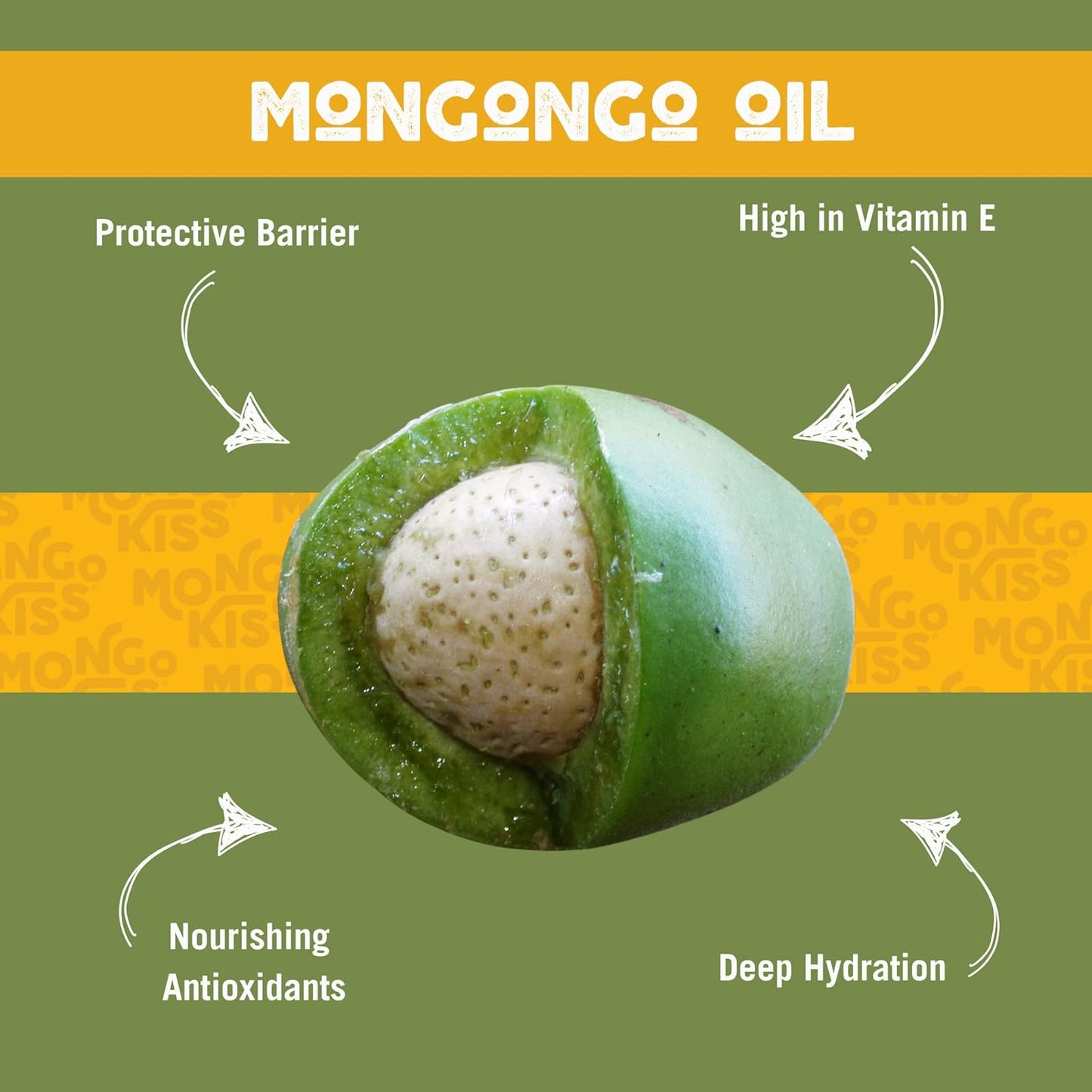 LIP BALM Mongo Kiss 6-Pack (6 tubes) Vanilla Honey by Eco Lips 100% Organic Beeswax & Cocoa Butter Lip Care with Organic Mongongo Oil - Soothe & Moisturize Dry and Cracked Lips - Made in USA