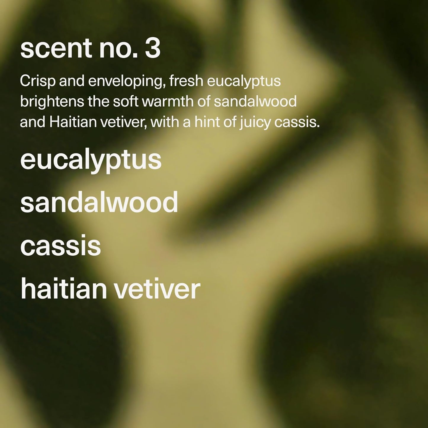 Maude Soak No. 3 - Nourishing Mineral Bath Salts - Hand-Harvested Dead Sea Salt with Magnesium & Potassium Chloride - Soften & Rejuvenate Skin - Notes of Sandalwood & Eucalyptus (8 oz)