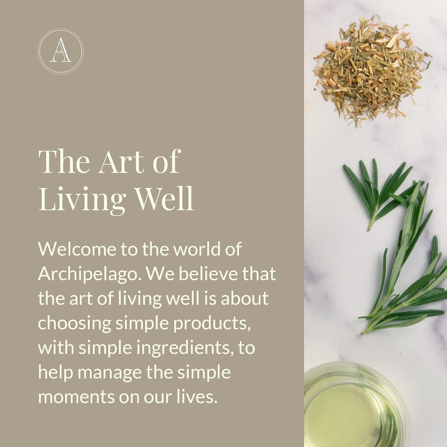 Archipelago Botanicals Soy Milk Lotion for Rehydration and Regeneration, Soy Body Lotion and Moisturizer for Dry or Sensitive Skin, Paraben-Free, Phthalate-Free, 18 oz