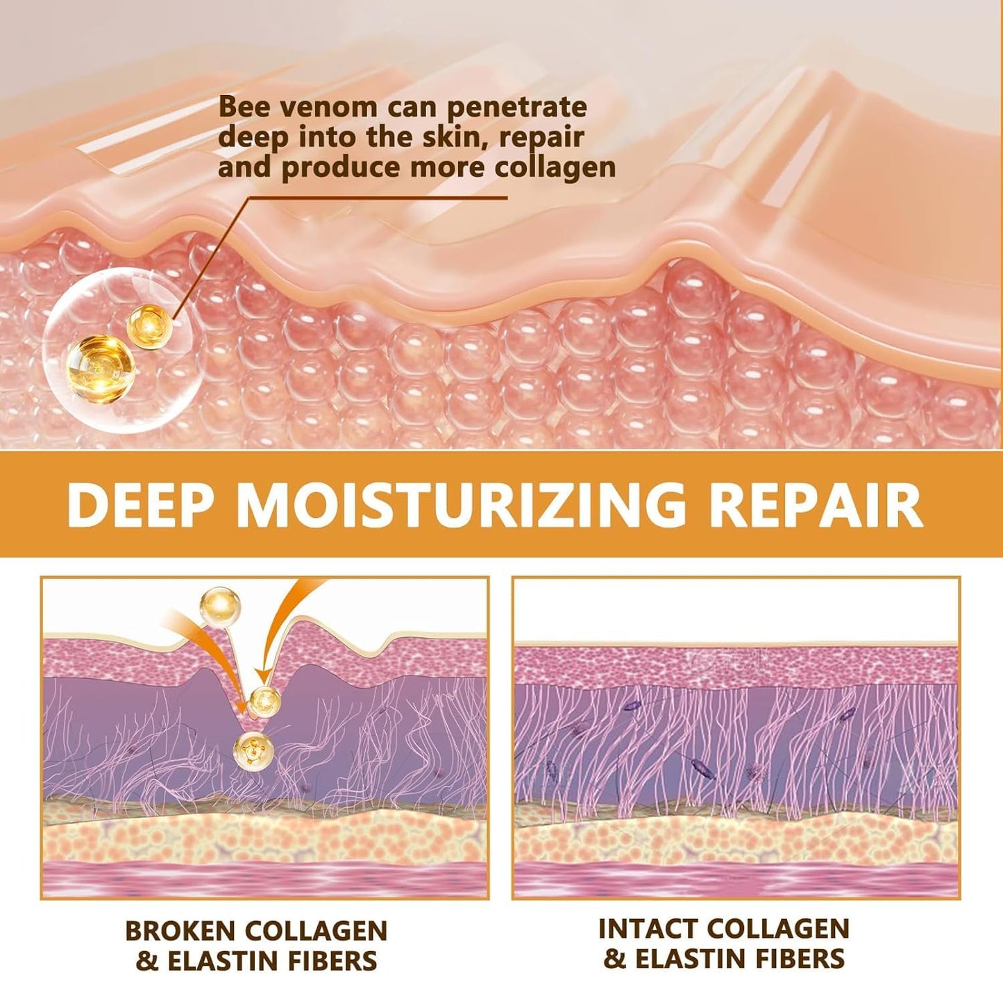 Bee Venom Wrinkle Removal Cream, Anti-Aging, Restore and Enhance Skin Elasticity, Natural and Non-Irritating, Suitable for Sensitive, Dry, Oily Skin