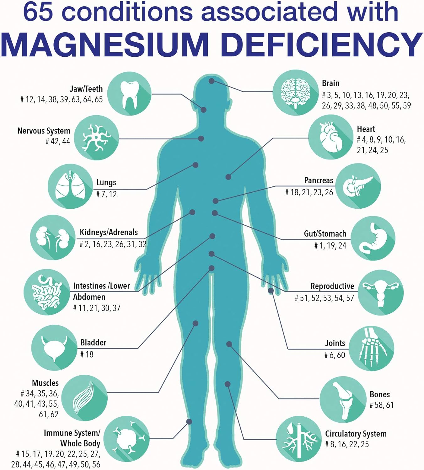RnA ReSet ReMag – Pico-Ionic Liquid Magnesium for High Absorption, 16.2 Fl Oz (1-Pack)