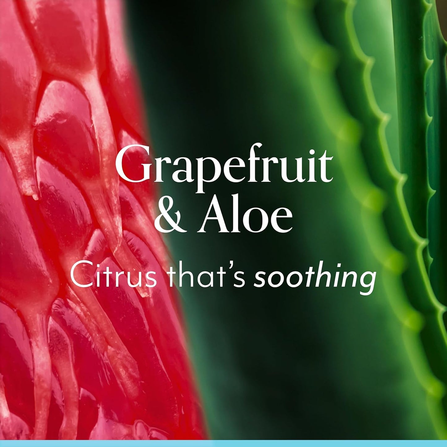 Bliss Body Butter - Grapefruit and Aloe - Maximum Moisture Cream - 6.7 Fl Oz - Body Lotion for Dry Skin - Long-Lasting Moisturizer for Women & Men - Vegan and Cruelty-Free