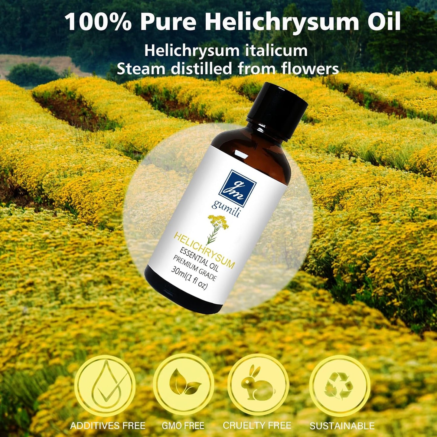 Helichrysum Essential Oil, 100% Pure Undiluted Helichrysum Oil for Aromatherapy Beauty & Home Care- 30ml/1 oz