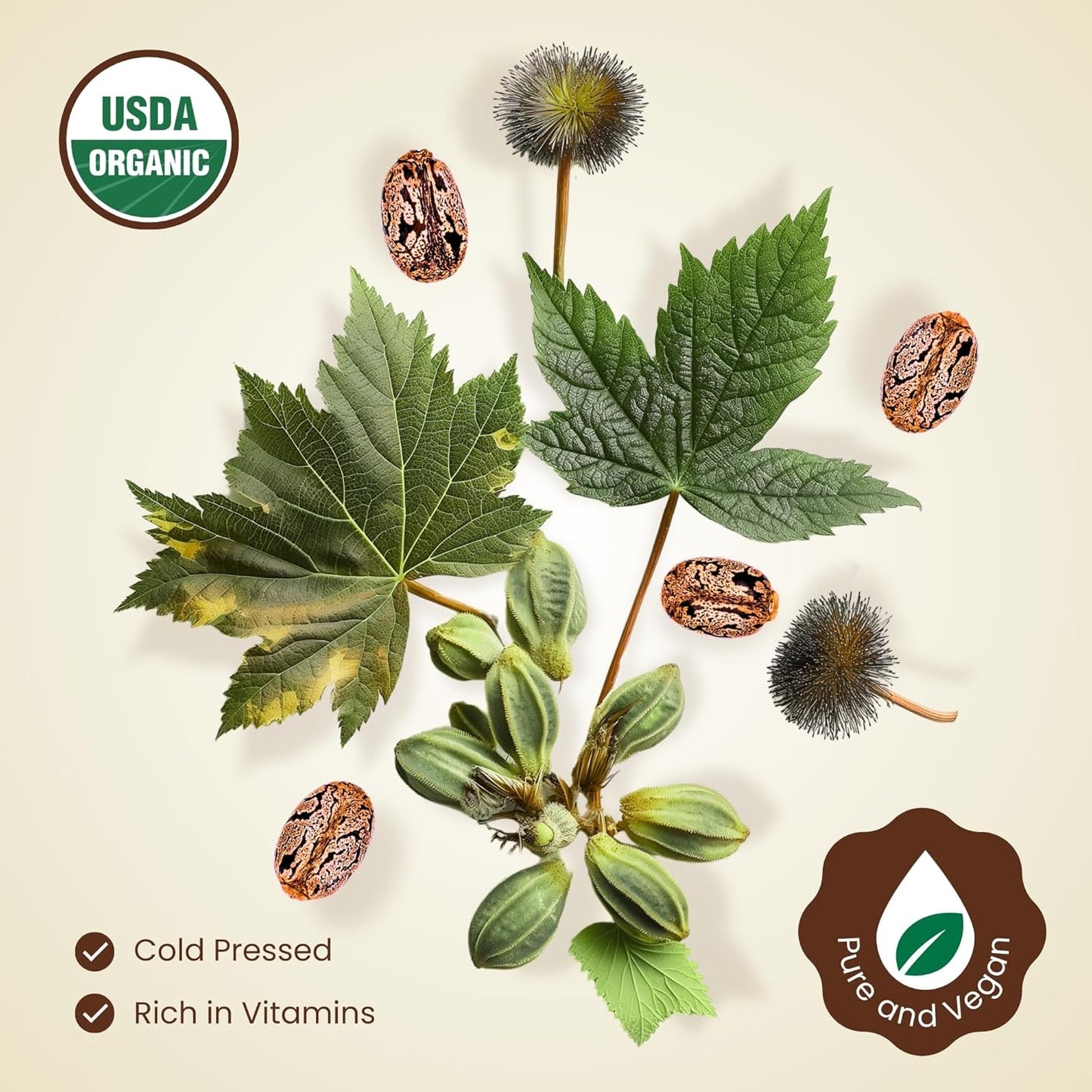 BodyJ4You Organic Castor Oil for Hair Growth: Natural Eyelashes Serum for Lashes and Eyebrows - Glass Bottle 1 Fl Oz