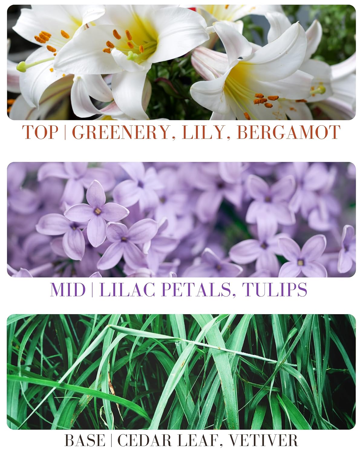 Lilac Blossom Natural Hair & Body Mist Spray, Pure Essential and Fragrance Oils, Alcohol-Free, Handmade in California, 0.5Fl Oz