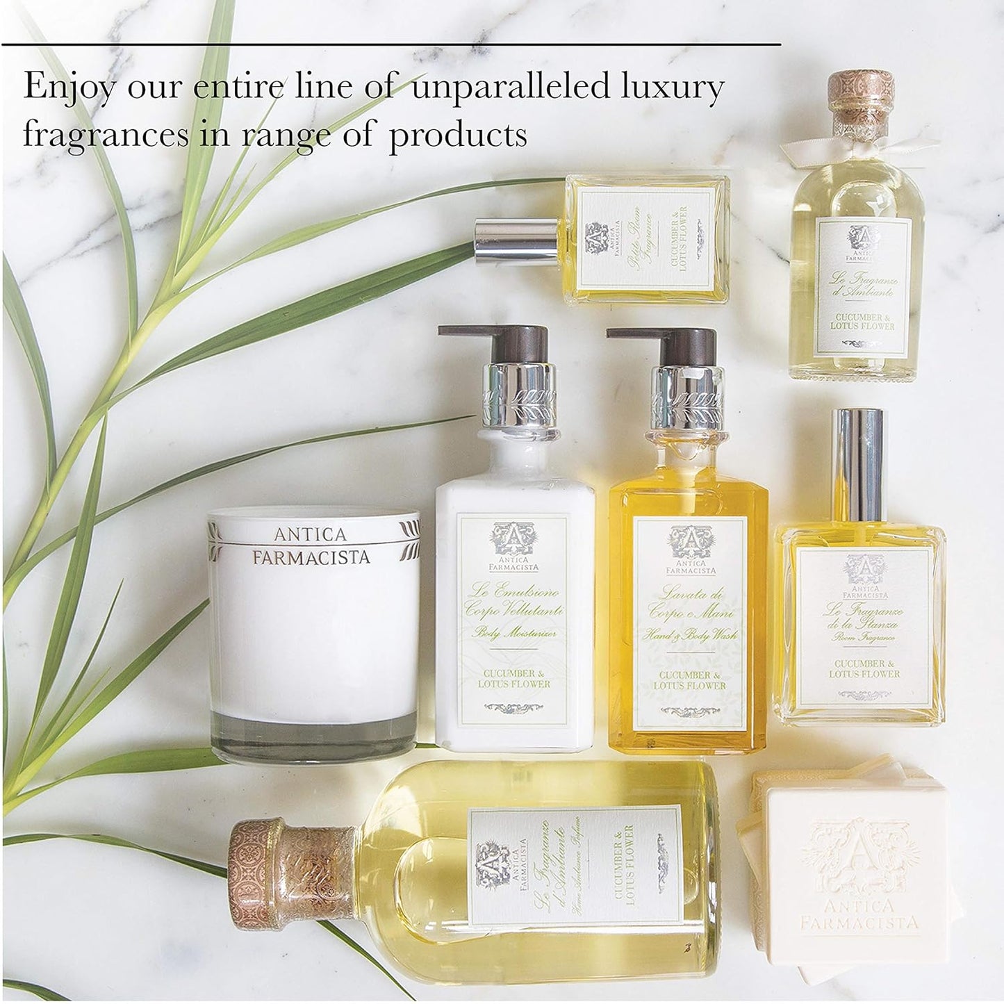 Antica Farmacista Hand Wash -Lavender & Lime Blossom, 10 Fl Oz (Pack of 1)